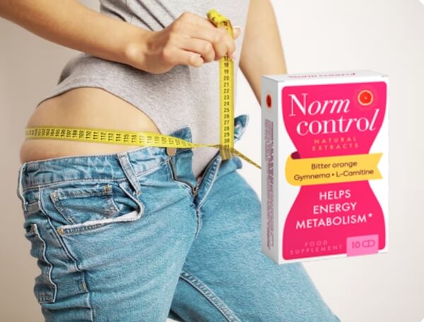 Cena Normcontrolu v Česku